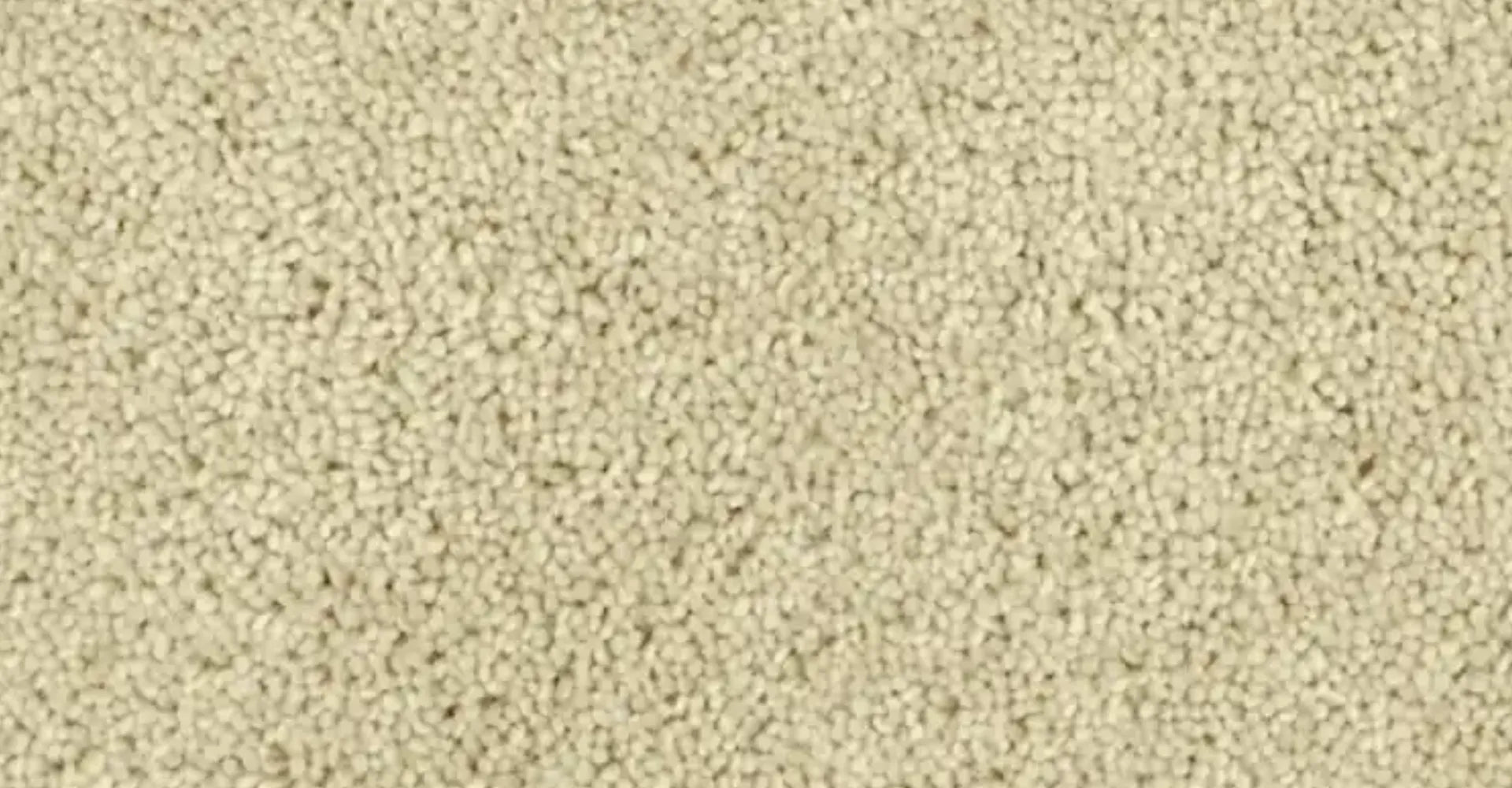 Creme wollen vloerkleed: warm ivoor tussen wit en beige