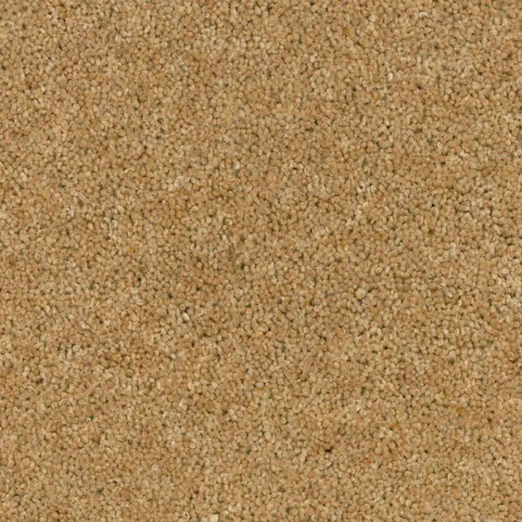 750x750 excellent 247.webp