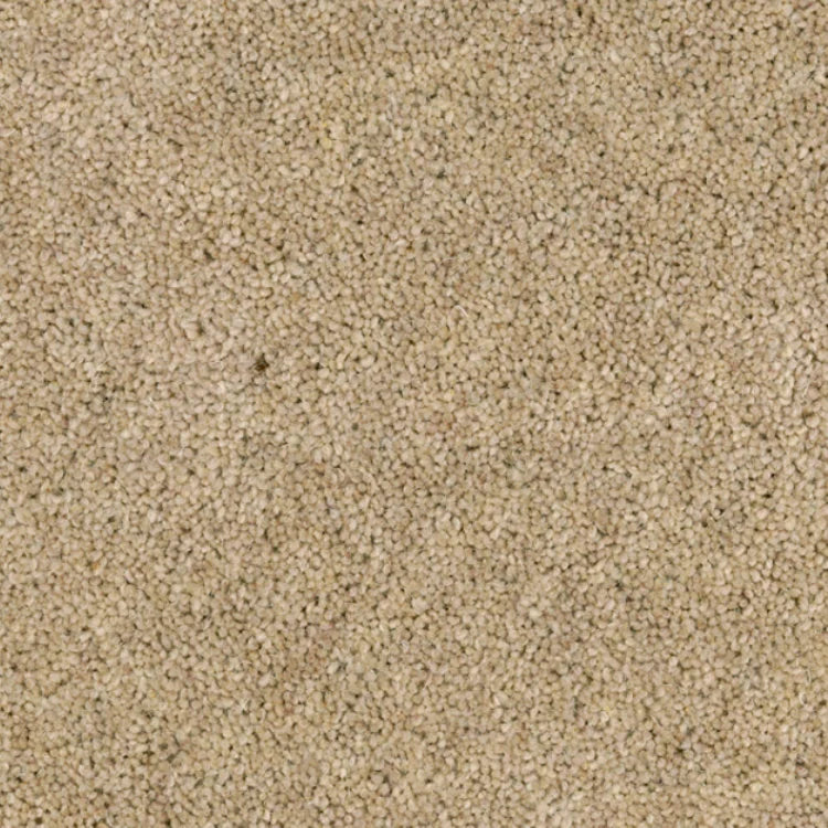 750x750 excellent 291.webp