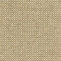 Wollen vloerkleed - Desso Rodin 9107 beige
