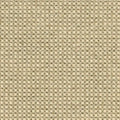 Wollen vloerkleed - Desso Rodin 9108 beige