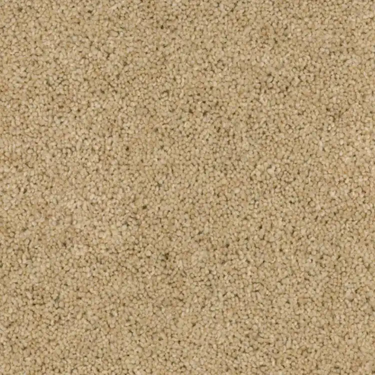 wollen vloerbedekking excellent 270