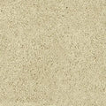 Wollen vloerkleed - Desso Excellent 275 creme